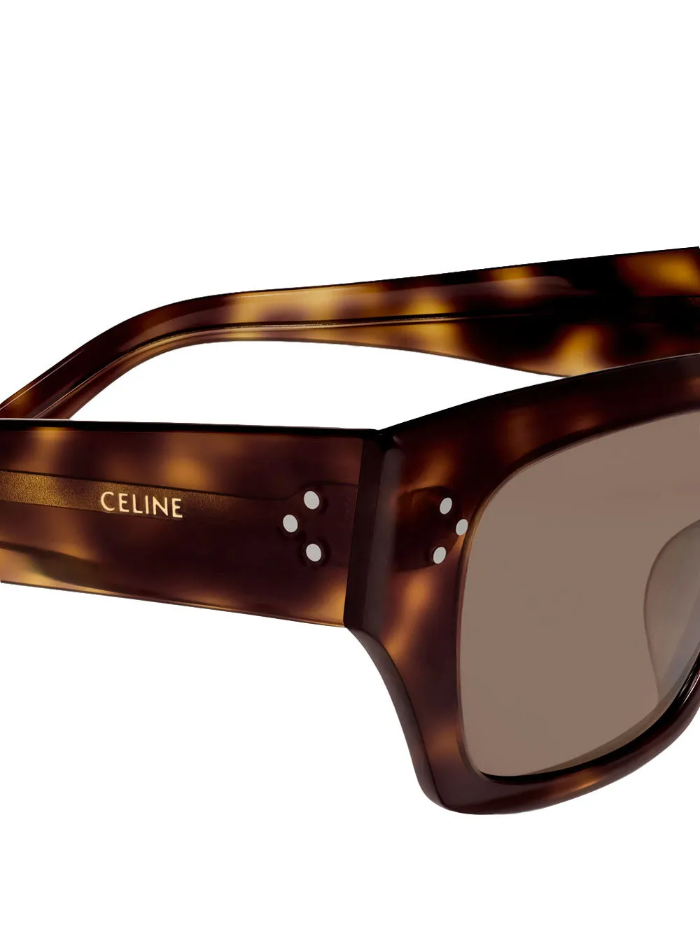 55 Havana Sunglasses