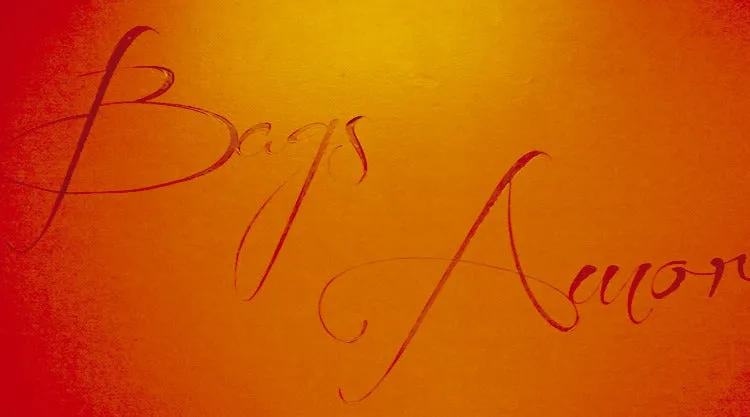 Bags Amor