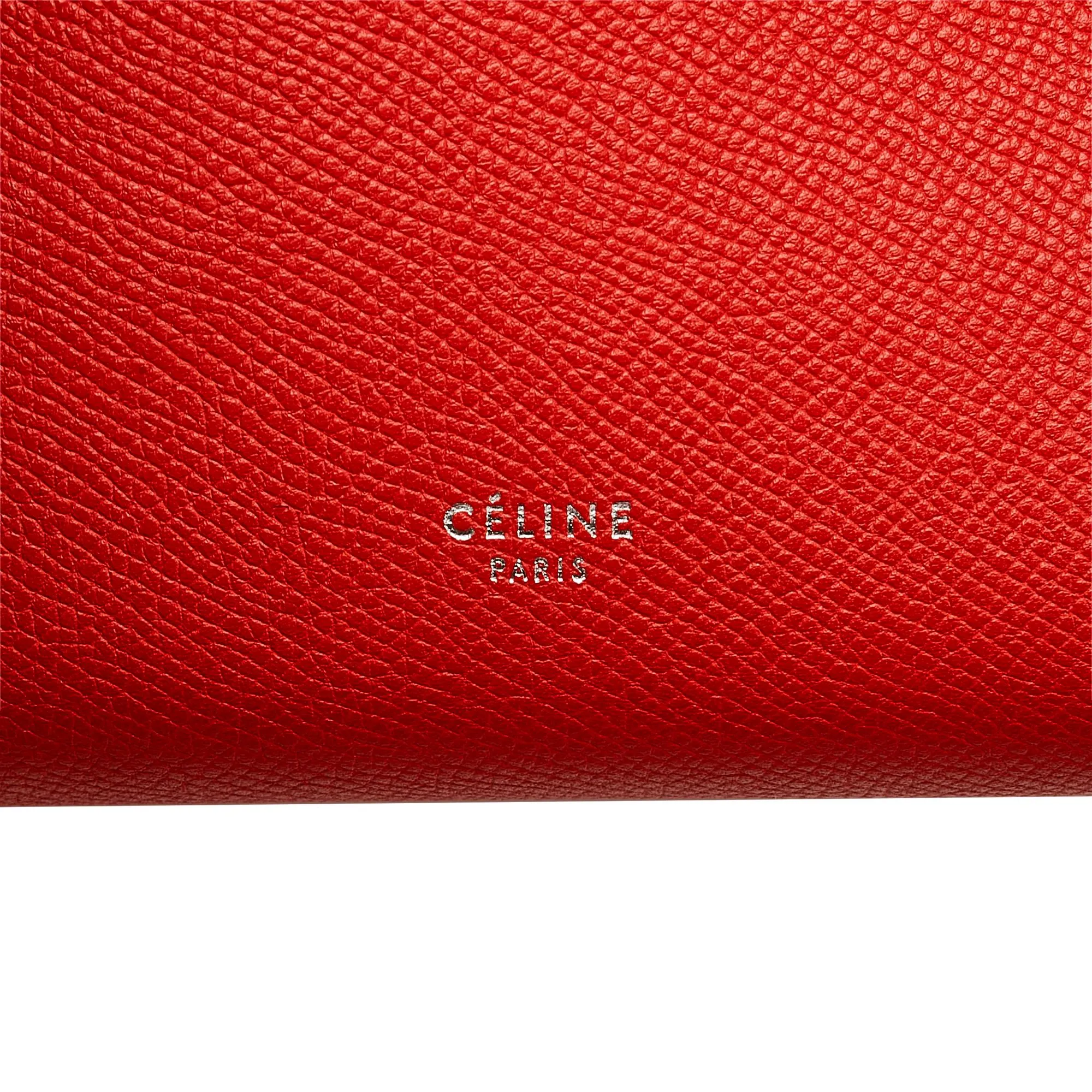 Celine Nano Belt Satchel