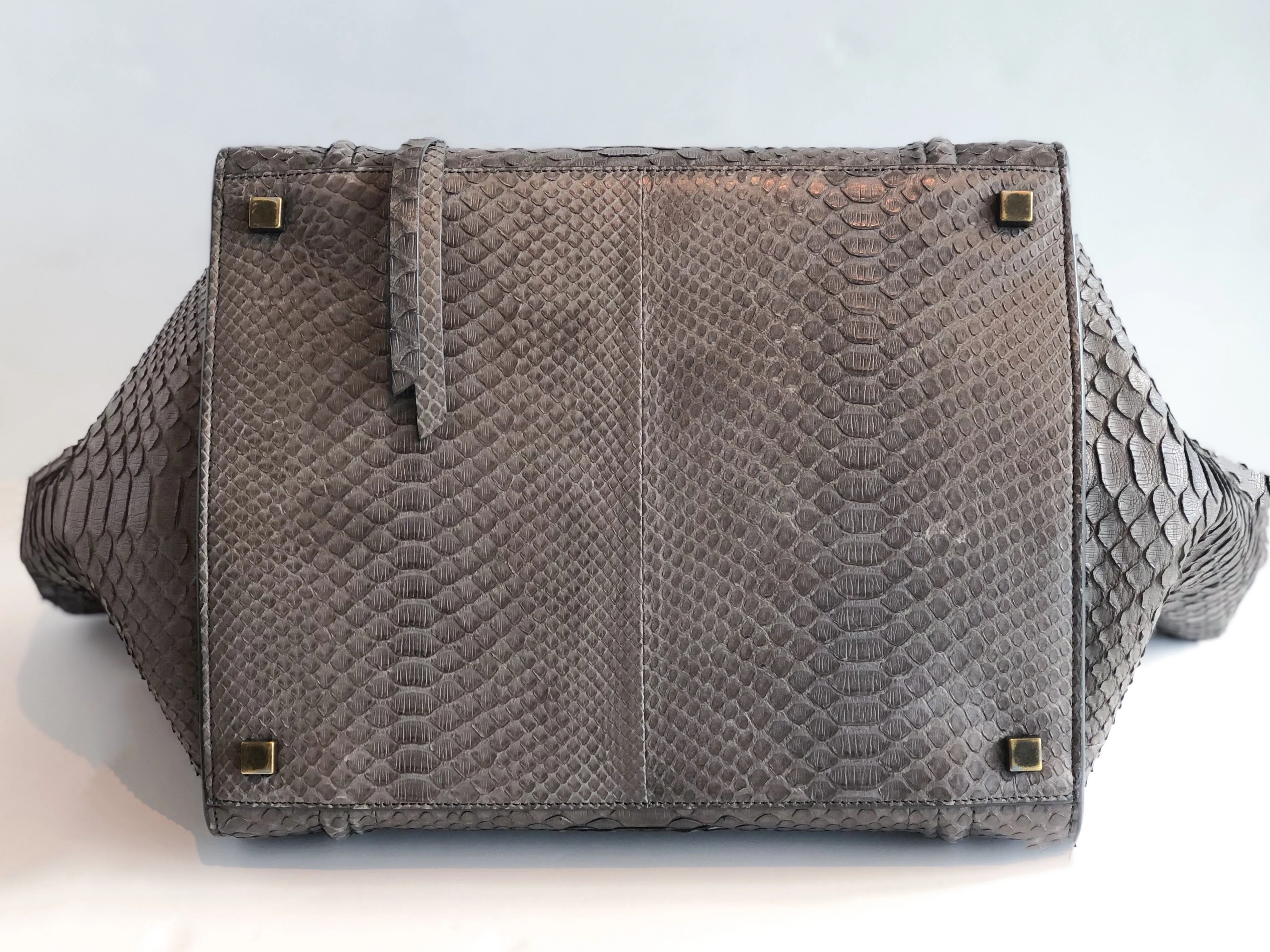 Céline Phantom Python Luggage Tote in Medium