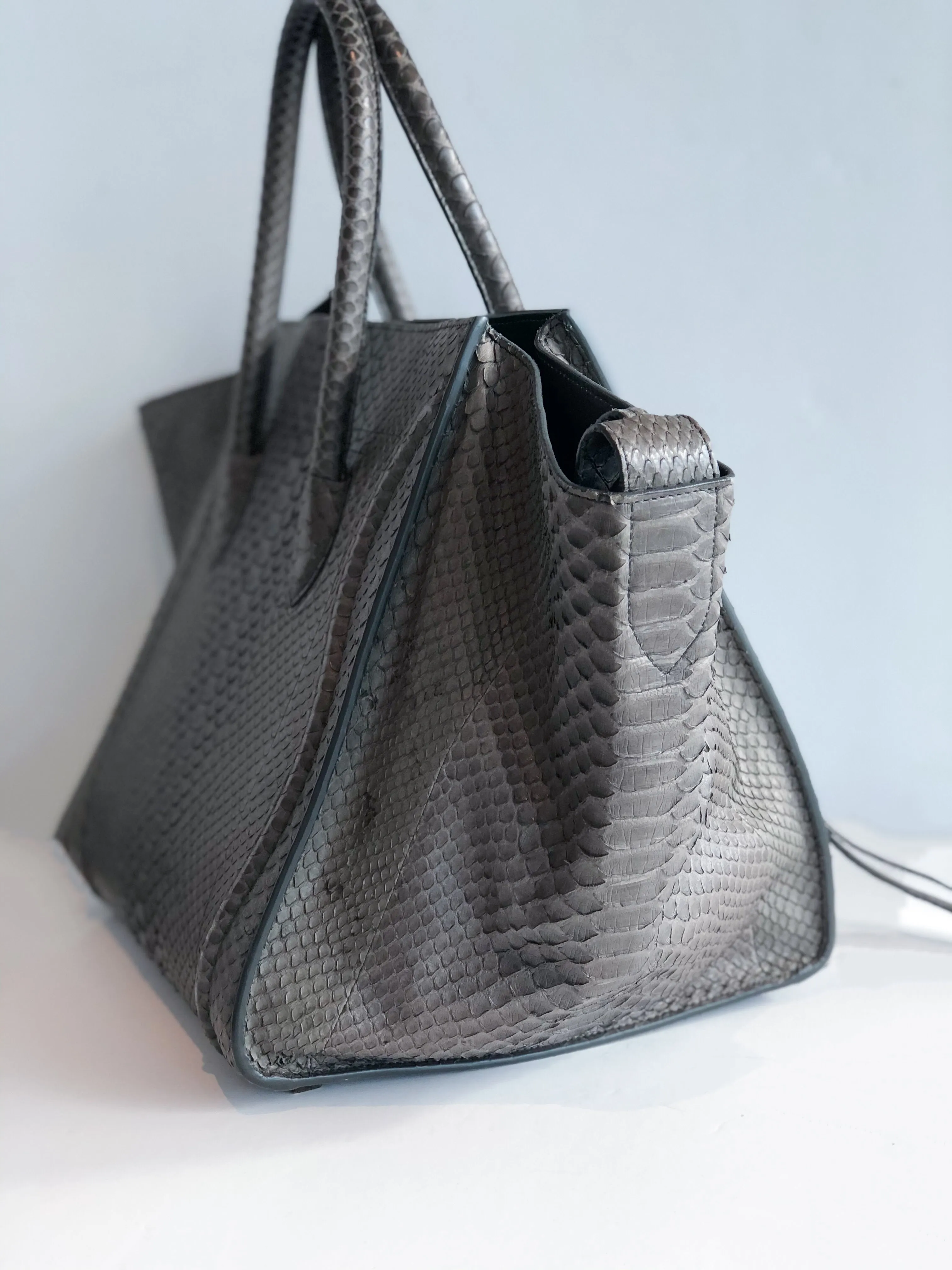 Céline Phantom Python Luggage Tote in Medium