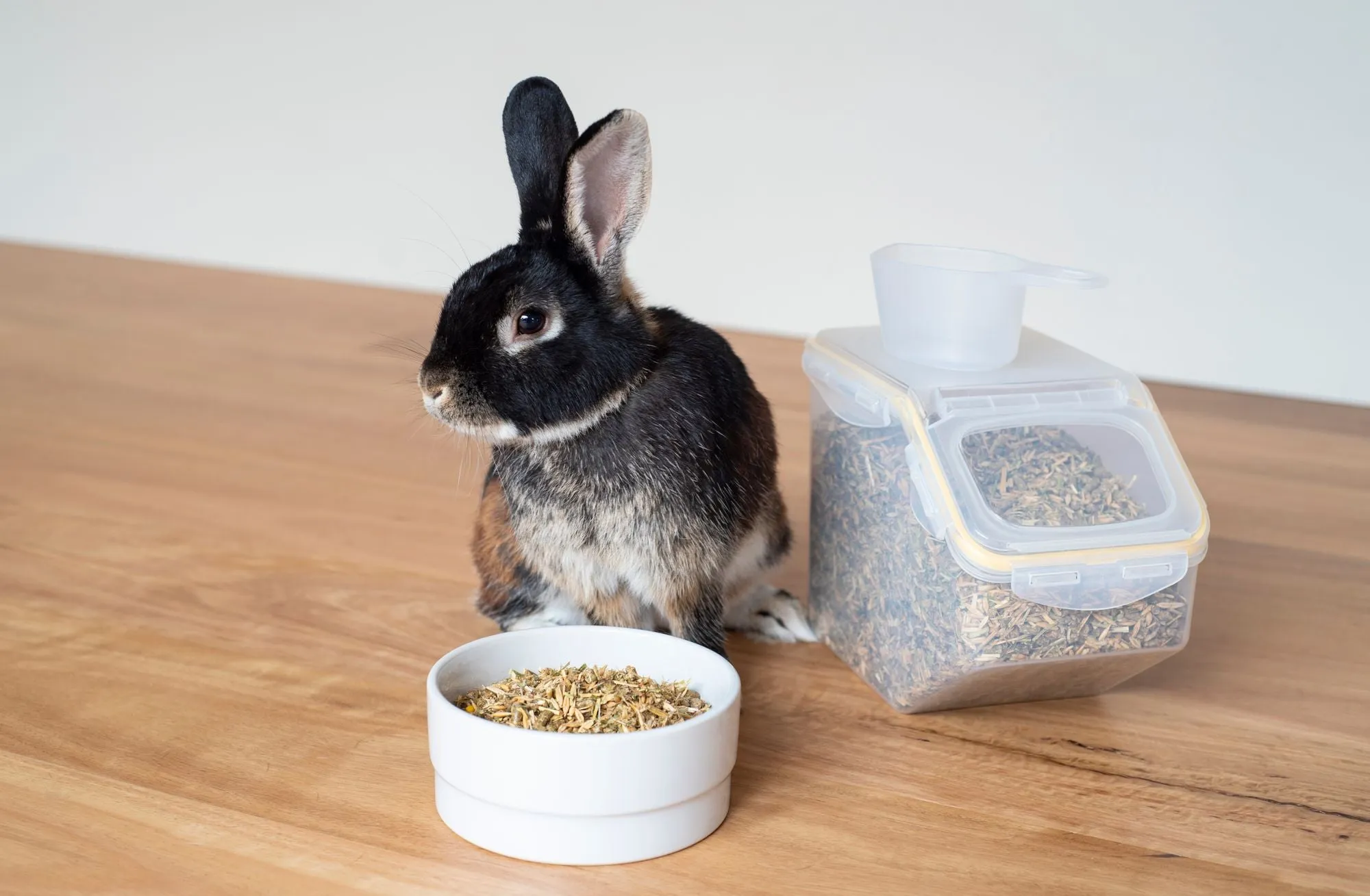 Lock & Lock Pet Small Dry Food Storage 5Lt